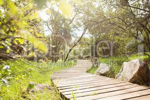 Wooden trail across countryside