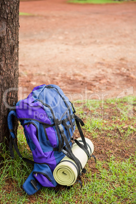 An hiking backpack leaning on a tree