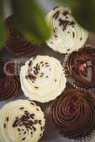 Chocolate and white chocolate cupcakes