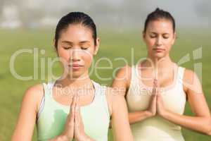 Peaceful sporty women doing yoga