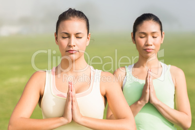 Peaceful sporty women doing yoga