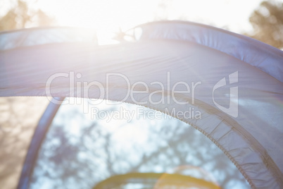 A Blue tent in a forest