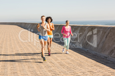 Sporty women jogging together