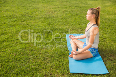 Peaceful sporty blonde meditating on exercise mat