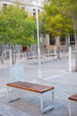 Several benches and trees