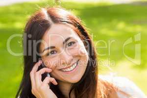 Beautiful brunette making a call in the park