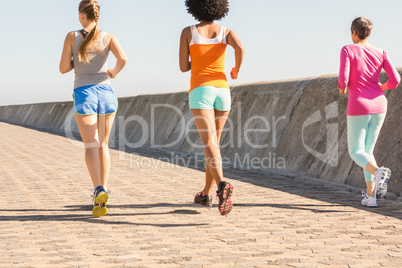 Rear view of sporty women jogging together