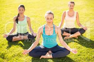 Peaceful sporty women doing yoga together