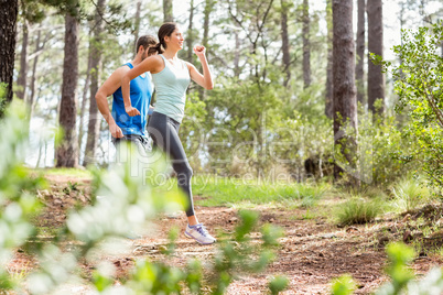 Happy joggers running