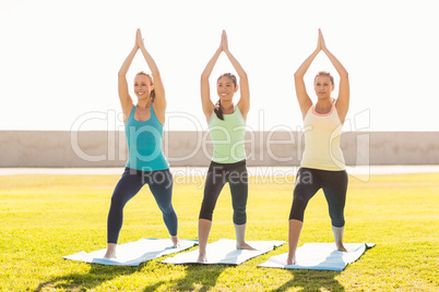 Smiling sporty women doing yoga on exercise mats