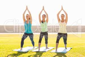 Smiling sporty women doing yoga on exercise mats
