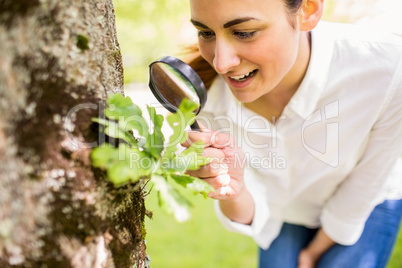 Beautiful brunette looking at plant through magnifying glass