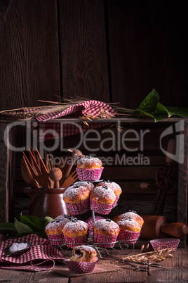 blueberries muffins