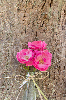 pink roses