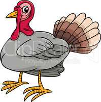 turkey bird farm animal cartoon
