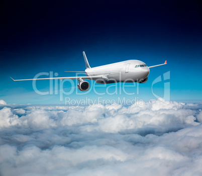 Passenger Airliner in the sky