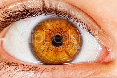 Human eye.