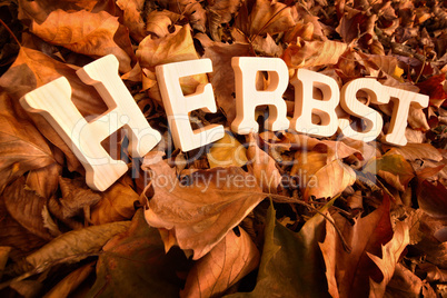 Herbst Schriftzug auf trockenem Laub