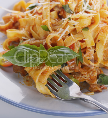 Fettuccine Pasta with Chicken