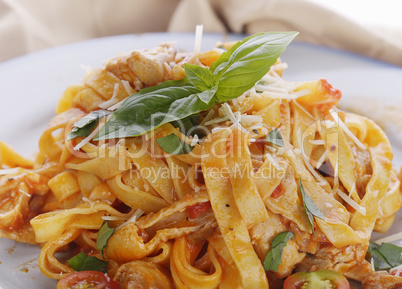 Fettuccine Pasta with Chicken