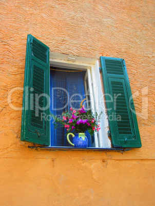 Window with flowers