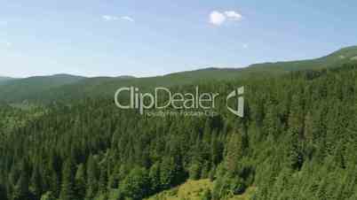 Aerial Panorama of Woods and Mountains. Aerial Video