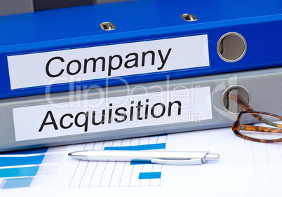 Company and Acquisition