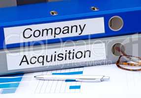 Company and Acquisition