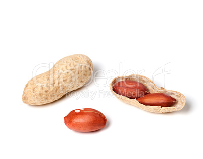 Peanuts on a white background