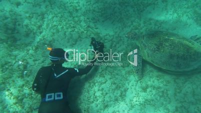 Diver with camera shooting sea turtle
