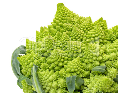 Green Fresh Romanesque Cauliflower