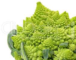 Green Fresh Romanesque Cauliflower