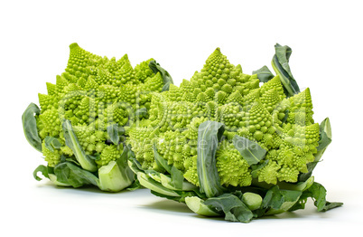 Two Green Fresh Romanesque Cauliflower