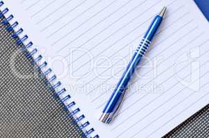 Notepad and Pen