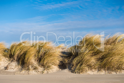 Düne an der Ostsee