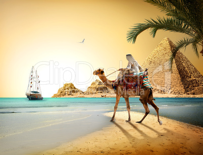 Egyptian landscape