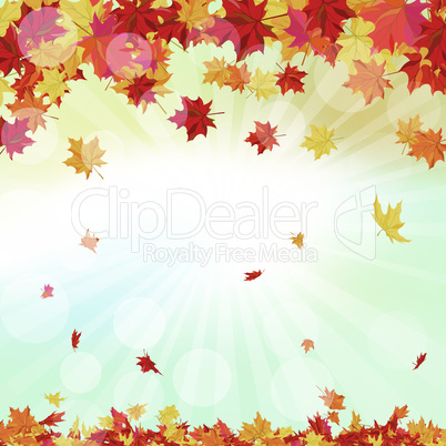 Autumn  Frame