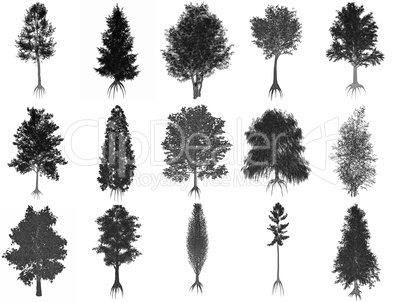 Set or collection of common trees, black silhouettes - 3D render