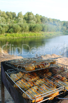 barbecue from chicken 's meat cooked in the nature