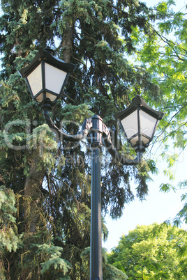Lanterns in city park