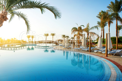 Pool and palms