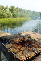 barbecue from chicken 's meat cooked in the nature