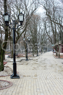 Sad park with many trees in February