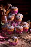 blueberries muffins