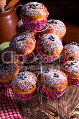 blueberries muffins