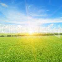 field, sunrise and blue sky