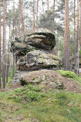 Rock Formation In The Forest
