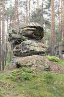 Rock Formation In The Forest