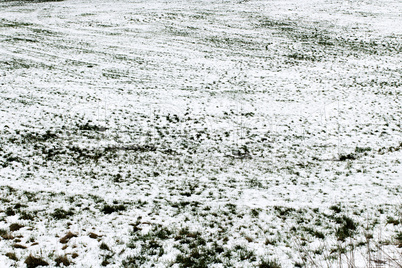 Meadow with snow in the winter