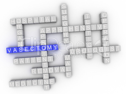 3d image Vasectomy issues concept word cloud background